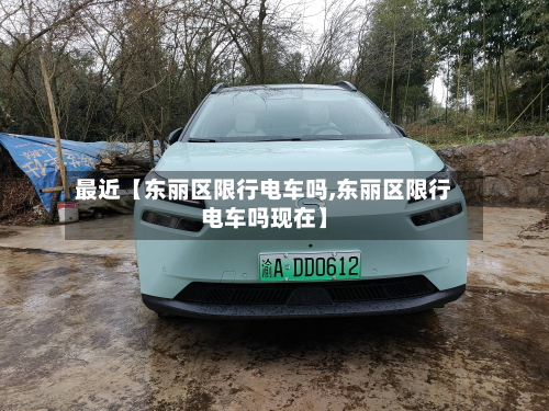 最近【东丽区限行电车吗,东丽区限行电车吗现在】-第1张图片