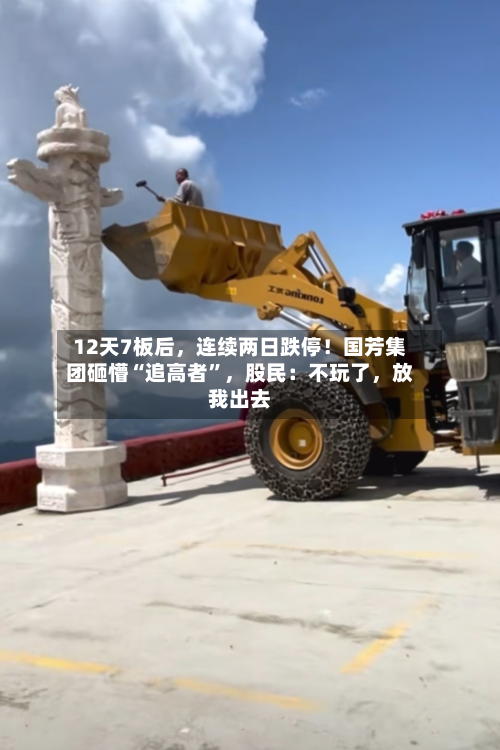 12天7板后，连续两日跌停！国芳集团砸懵“追高者”，股民：不玩了	，放我出去-第1张图片