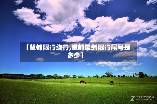 【望都限行绕行,望都最新限行尾号是多少】-第1张图片