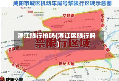 滨江限行拍吗(滨江区限行吗)-第1张图片