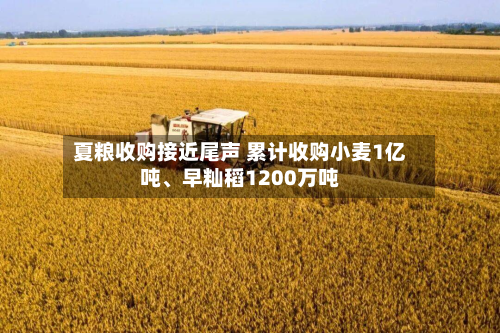 夏粮收购接近尾声 累计收购小麦1亿吨、早籼稻1200万吨-第1张图片