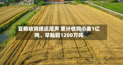 夏粮收购接近尾声 累计收购小麦1亿吨	、早籼稻1200万吨-第2张图片