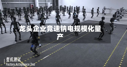 龙头企业竞速钠电规模化量产-第1张图片