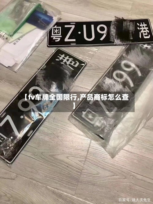 【fv车牌全国限行,产品商标怎么查】-第2张图片