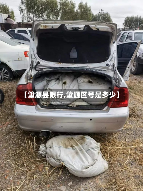 【肇源县限行,肇源区号是多少】-第1张图片
