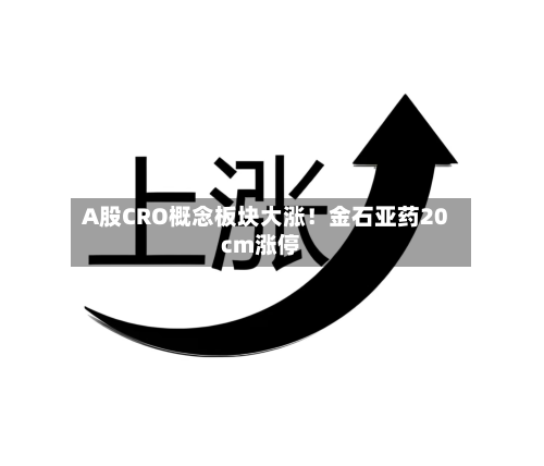 A股CRO概念板块大涨!金石亚药20cm涨停-第2张图片
