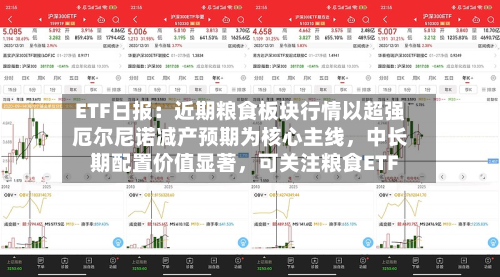 ETF日报：近期粮食板块行情以超强厄尔尼诺减产预期为核心主线，中长期配置价值显著，可关注粮食ETF-第2张图片