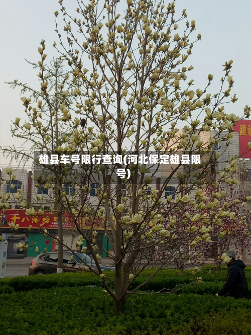 雄县车号限行查询(河北保定雄县限号)-第2张图片