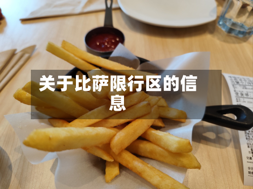 关于比萨限行区的信息-第3张图片