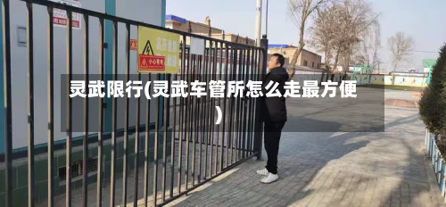 灵武限行(灵武车管所怎么走最方便)-第2张图片