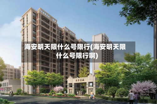 海安明天限什么号限行(海安明天限什么号限行啊)-第3张图片