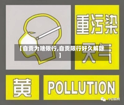 【自贡为啥限行,自贡限行好久解除】-第3张图片