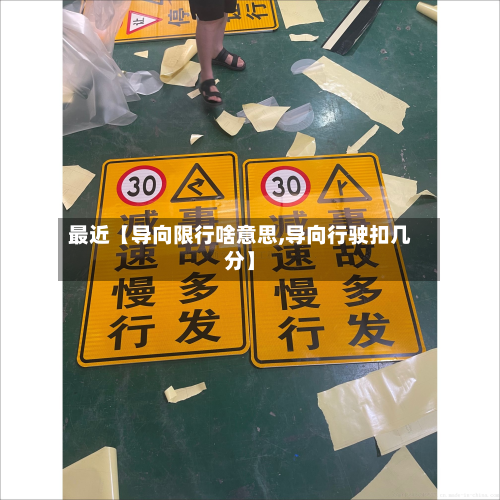最近【导向限行啥意思,导向行驶扣几分】-第2张图片