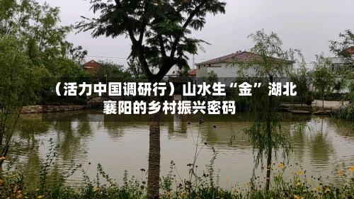 （活力中国调研行）山水生“金” 湖北襄阳的乡村振兴密码-第1张图片
