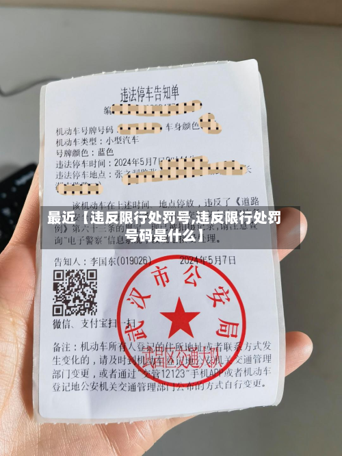 最近【违反限行处罚号,违反限行处罚号码是什么】-第3张图片