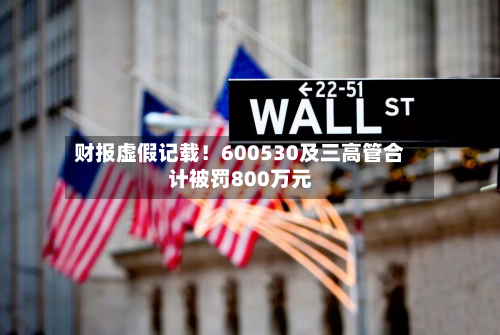 财报虚假记载!600530及三高管合计被罚800万元-第2张图片