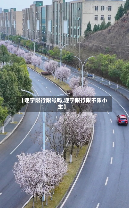 【遂宁限行限号吗,遂宁限行限不限小车】-第2张图片