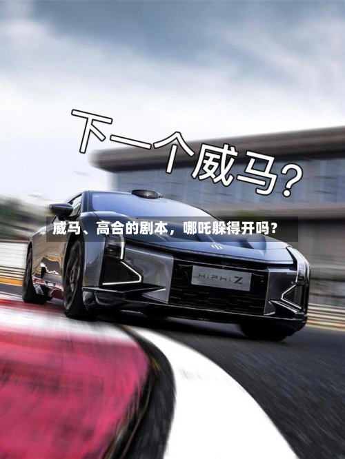威马、高合的剧本	，哪吒躲得开吗？-第1张图片
