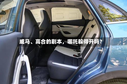 威马	、高合的剧本，哪吒躲得开吗？-第2张图片