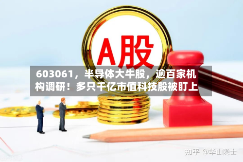 603061，半导体大牛股，逾百家机构调研！多只千亿市值科技股被盯上-第1张图片