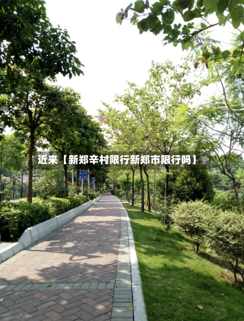 近来【新郑辛村限行新郑市限行吗】-第1张图片