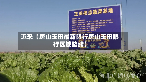 近来【唐山玉田最新限行唐山玉田限行区域路线】-第2张图片