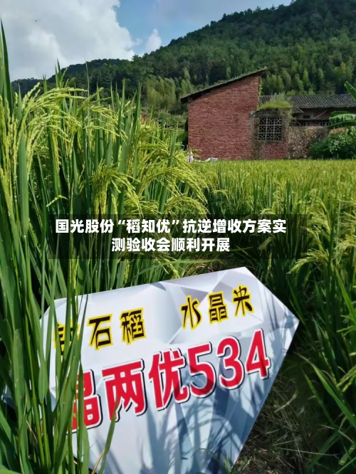 国光股份“稻知优”抗逆增收方案实测验收会顺利开展-第1张图片