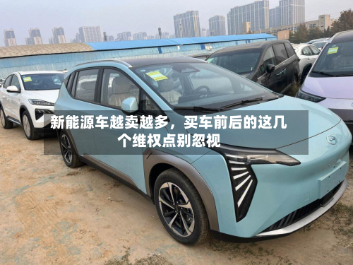 新能源车越卖越多，买车前后的这几个维权点别忽视-第2张图片