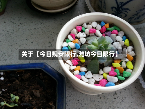 关于【今日魏安限行,潍坊今日限行】-第1张图片