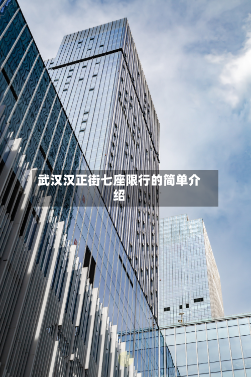 武汉汉正街七座限行的简单介绍-第1张图片