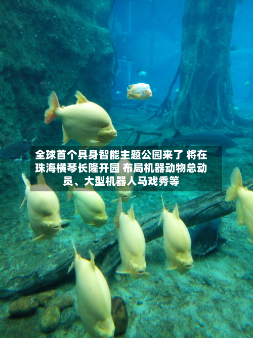 全球首个具身智能主题公园来了 将在珠海横琴长隆开园 布局机器动物总动员、大型机器人马戏秀等-第1张图片