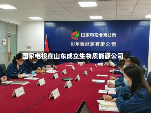 国家电投在山东成立生物质能源公司-第2张图片