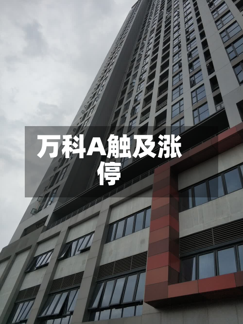 万科A触及涨停-第1张图片