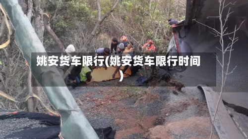 姚安货车限行(姚安货车限行时间)-第3张图片