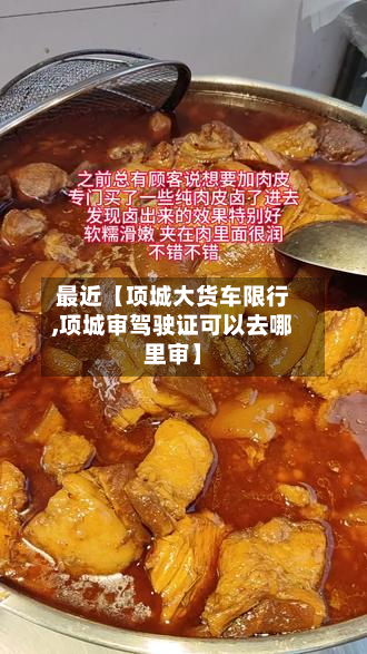 最近【项城大货车限行,项城审驾驶证可以去哪里审】-第2张图片