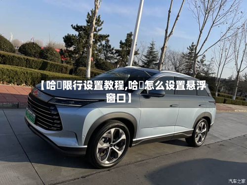 【哈啰限行设置教程,哈啰怎么设置悬浮窗口】-第2张图片