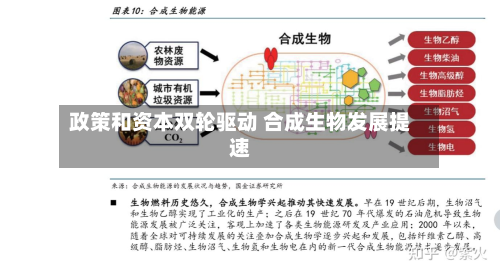 政策和资本双轮驱动 合成生物发展提速-第2张图片