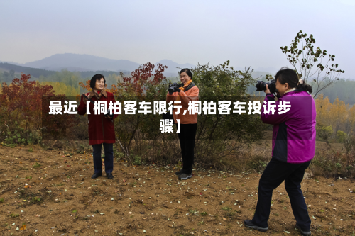 最近【桐柏客车限行,桐柏客车投诉步骤】-第1张图片