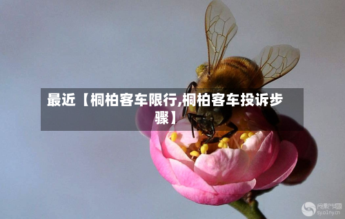 最近【桐柏客车限行,桐柏客车投诉步骤】-第2张图片