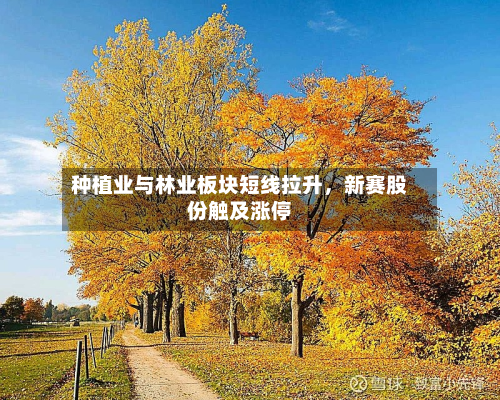 种植业与林业板块短线拉升，新赛股份触及涨停-第1张图片