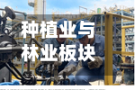 种植业与林业板块短线拉升，新赛股份触及涨停-第2张图片