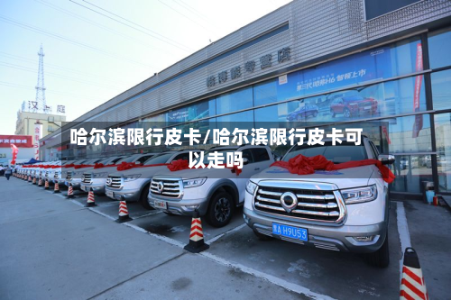 哈尔滨限行皮卡/哈尔滨限行皮卡可以走吗-第1张图片