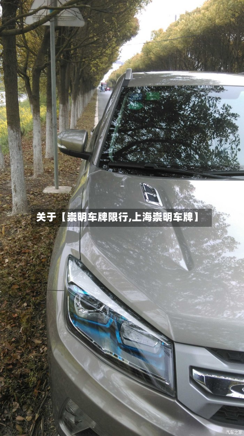 关于【崇明车牌限行,上海崇明车牌】-第3张图片
