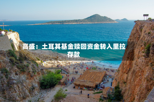 高盛:土耳其基金赎回资金转入里拉存款-第2张图片