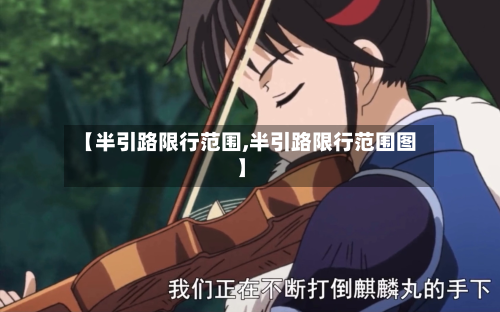 【半引路限行范围,半引路限行范围图】-第2张图片