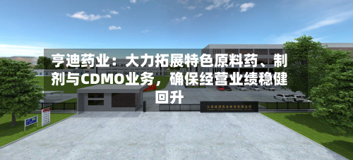 亨迪药业：大力拓展特色原料药	、制剂与CDMO业务	，确保经营业绩稳健回升-第1张图片