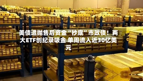 美债遭抛售后资金“抄底”市政债！两大ETF创纪录吸金 单周流入近30亿美元-第2张图片