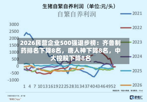 2026民营企业500强退步榜：齐鲁制药排名下降8名	，唐人神下降8名，中大控股下降8名-第2张图片