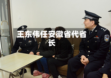 王东伟任安徽省代省长-第2张图片