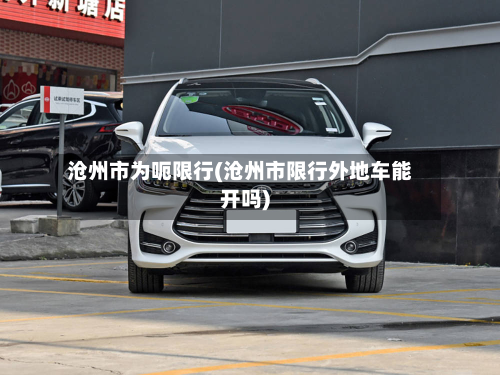 沧州市为呃限行(沧州市限行外地车能开吗)-第2张图片